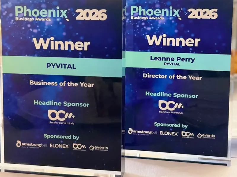 Winner trophies for Director and Business of the Year
